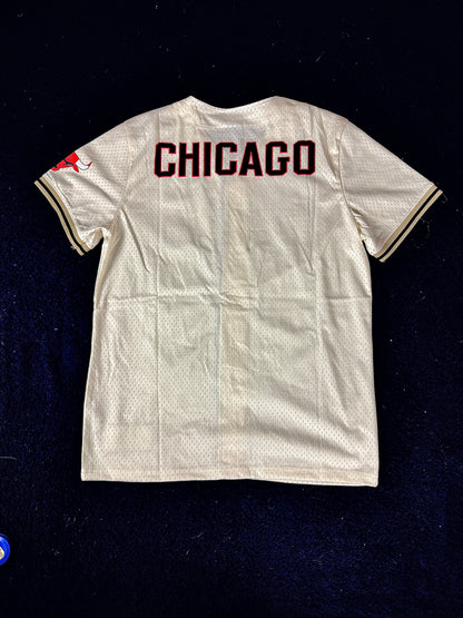 Playera Chicago Bulls NBA