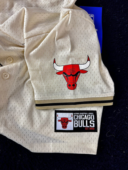 Playera Chicago Bulls NBA